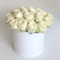 Коробка с белыми розами "Белая медведица"