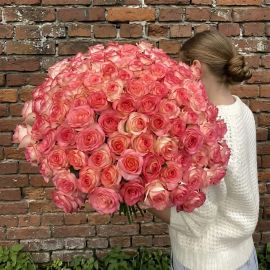 101 троянда джумілія